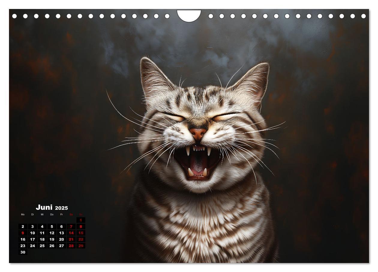 Bild: 9783457201985 | Auch Katzen lachen gern (Wandkalender 2025 DIN A4 quer), CALVENDO...