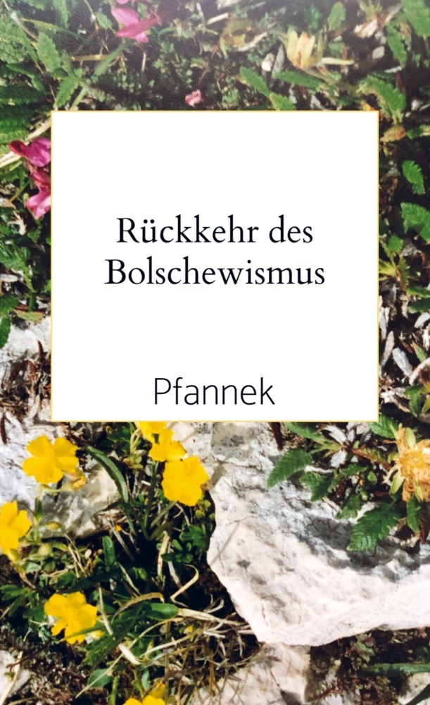 Cover: 9789403730974 | Rückkehr des Bolschewismus | Hauschild | Taschenbuch | 312 S. | 2024