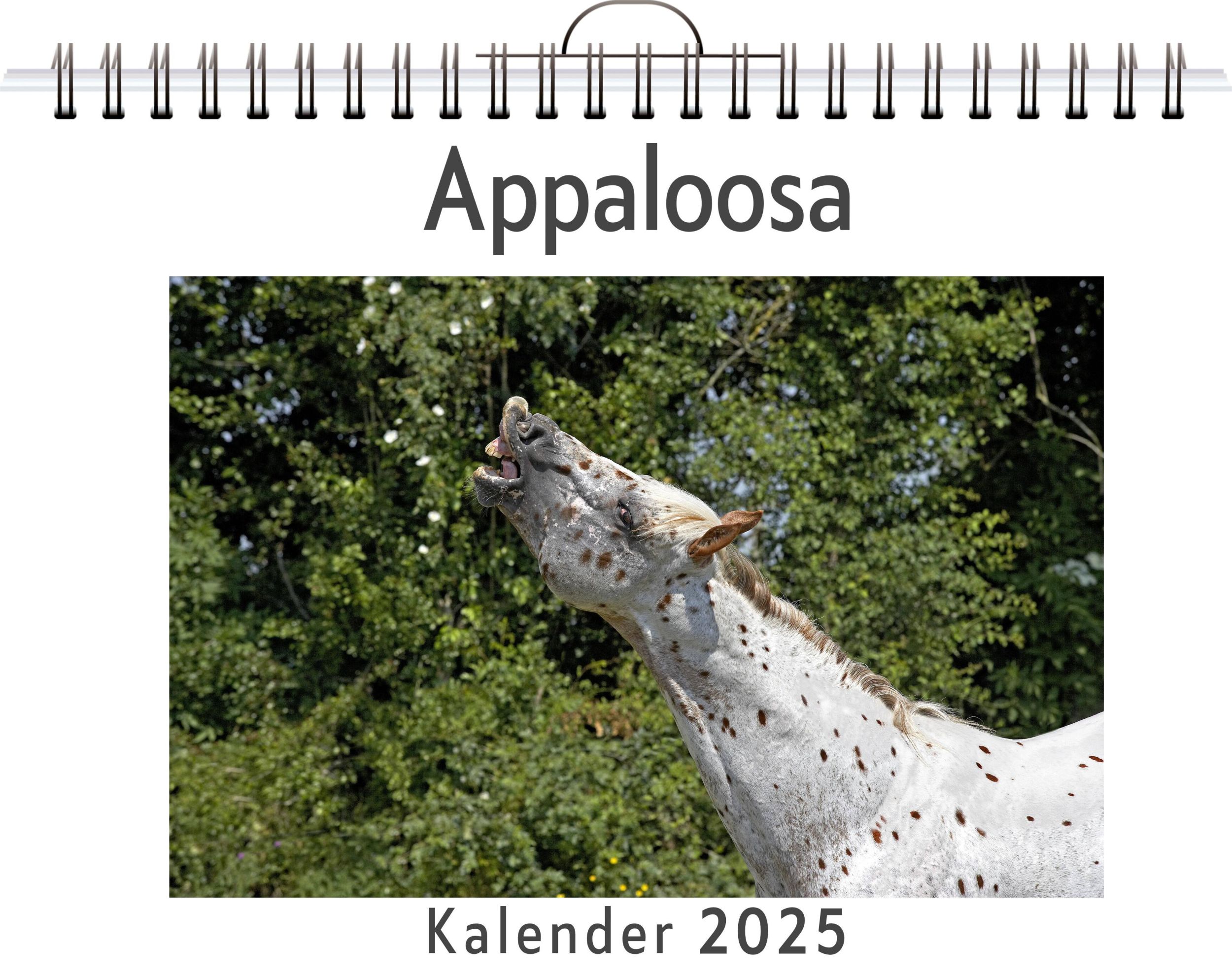 Cover: 9783759132291 | Appaloosa | Paul Scholz | Kalender | Kalender | 14 S. | Deutsch