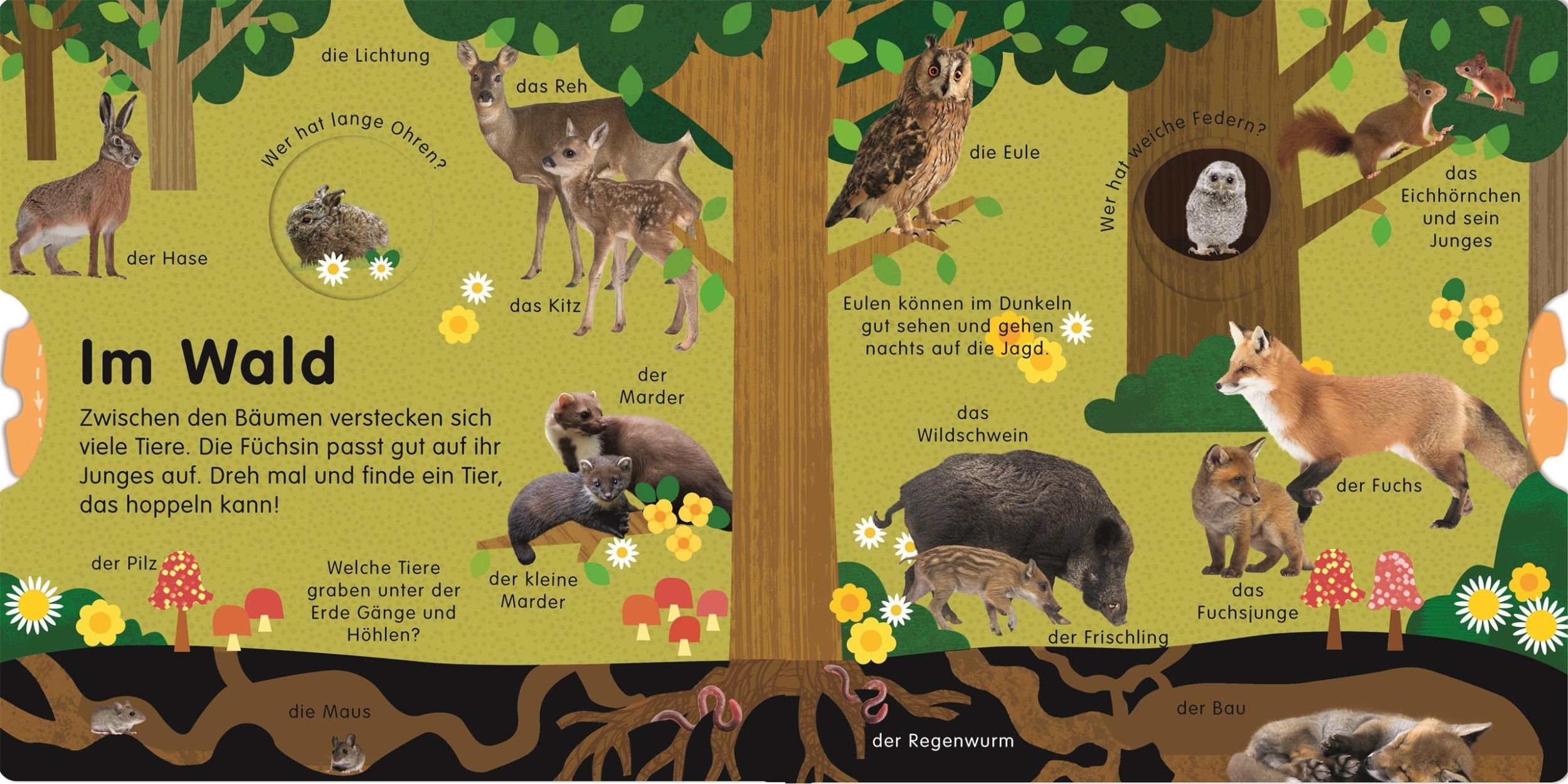 Bild: 9783831042333 | Erstes Lernen Drehen. So viele Tierkinder | DK Verlag - Kids | Buch