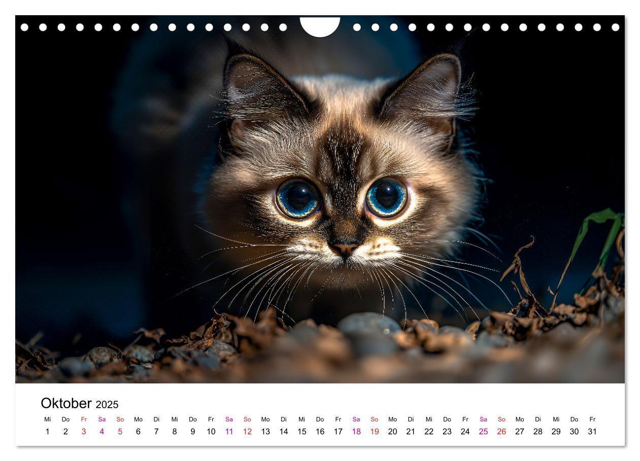 Bild: 9783457218242 | Katzenzauber - Samtpfoten im Jahreslauf (Wandkalender 2025 DIN A4...