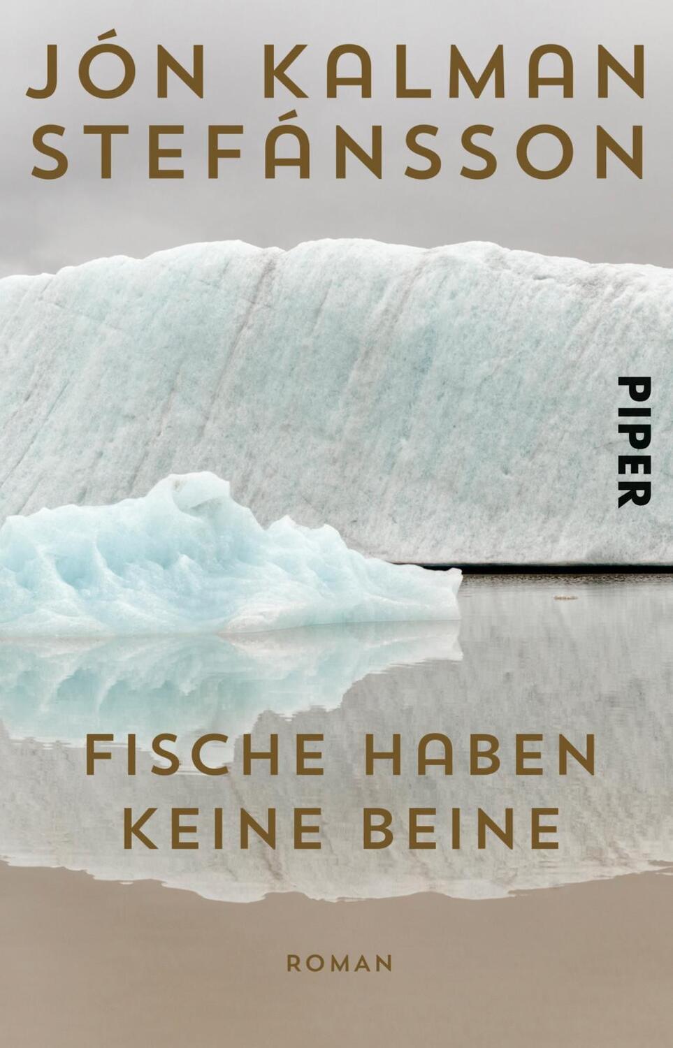 Cover: 9783492310611 | Fische haben keine Beine | Jón Kalman Stefánsson | Taschenbuch | 2017