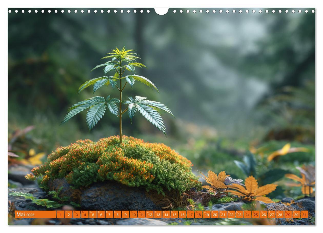 Bild: 9783383764714 | High Moments - Ein Jahr im Zeichen von Cannabis (Wandkalender 2025...