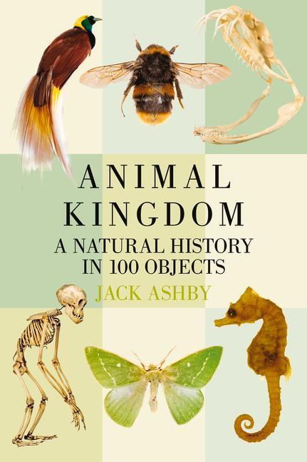 Cover: 9780750981521 | Animal Kingdom: A Natural History in 100 Objects | Jack Ashby | Buch