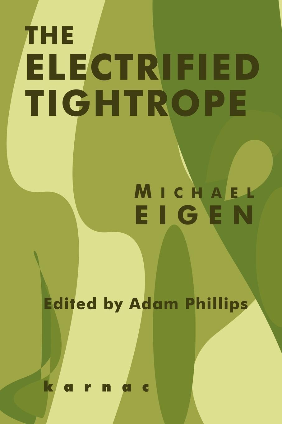 Cover: 9781855753969 | The Electrified Tightrope | Michael Eigen | Taschenbuch | Paperback