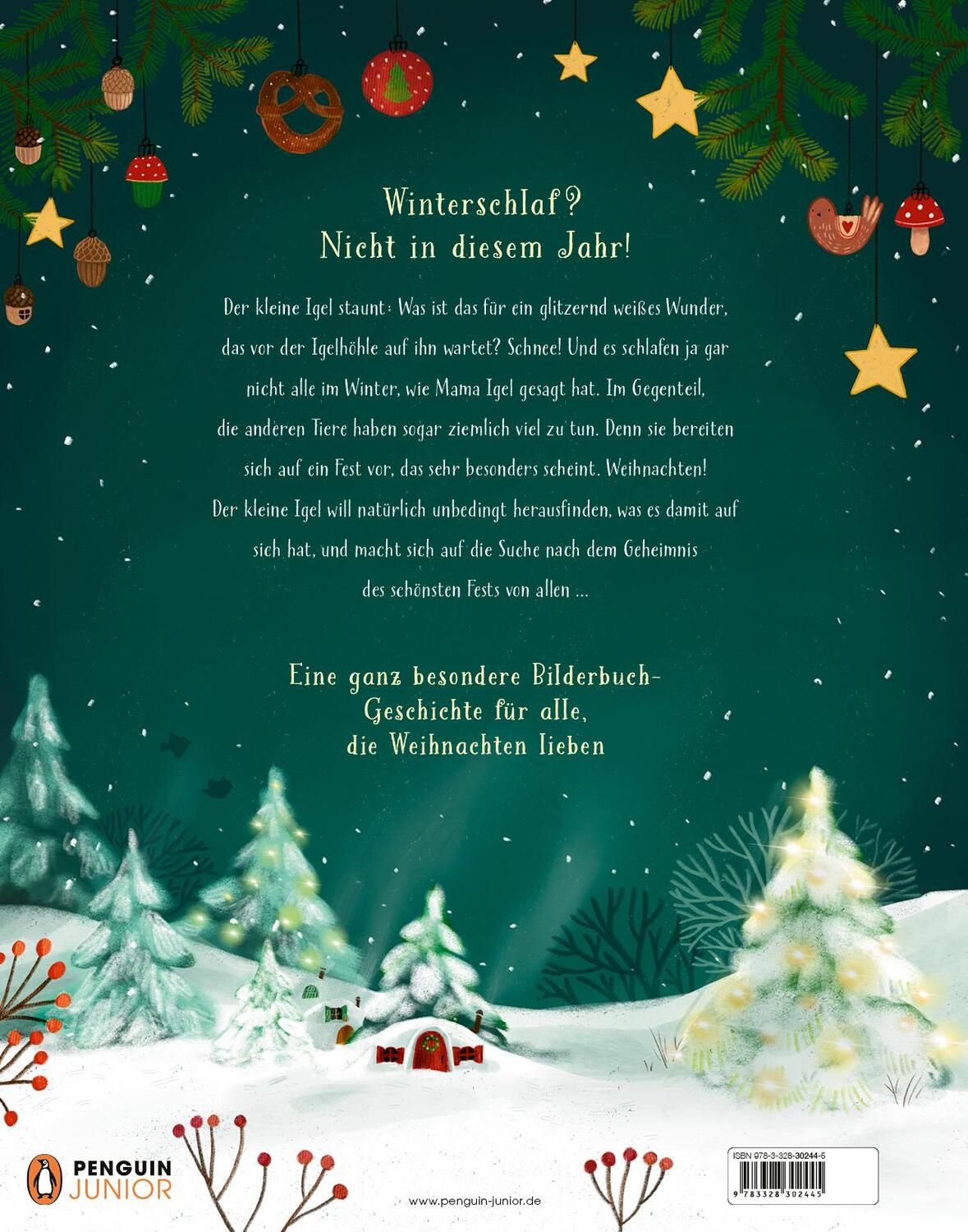 Bild: 9783328302445 | Das schönste Weihnachtsfest von allen | Bilderbuch ab 4 Jahren | Buch