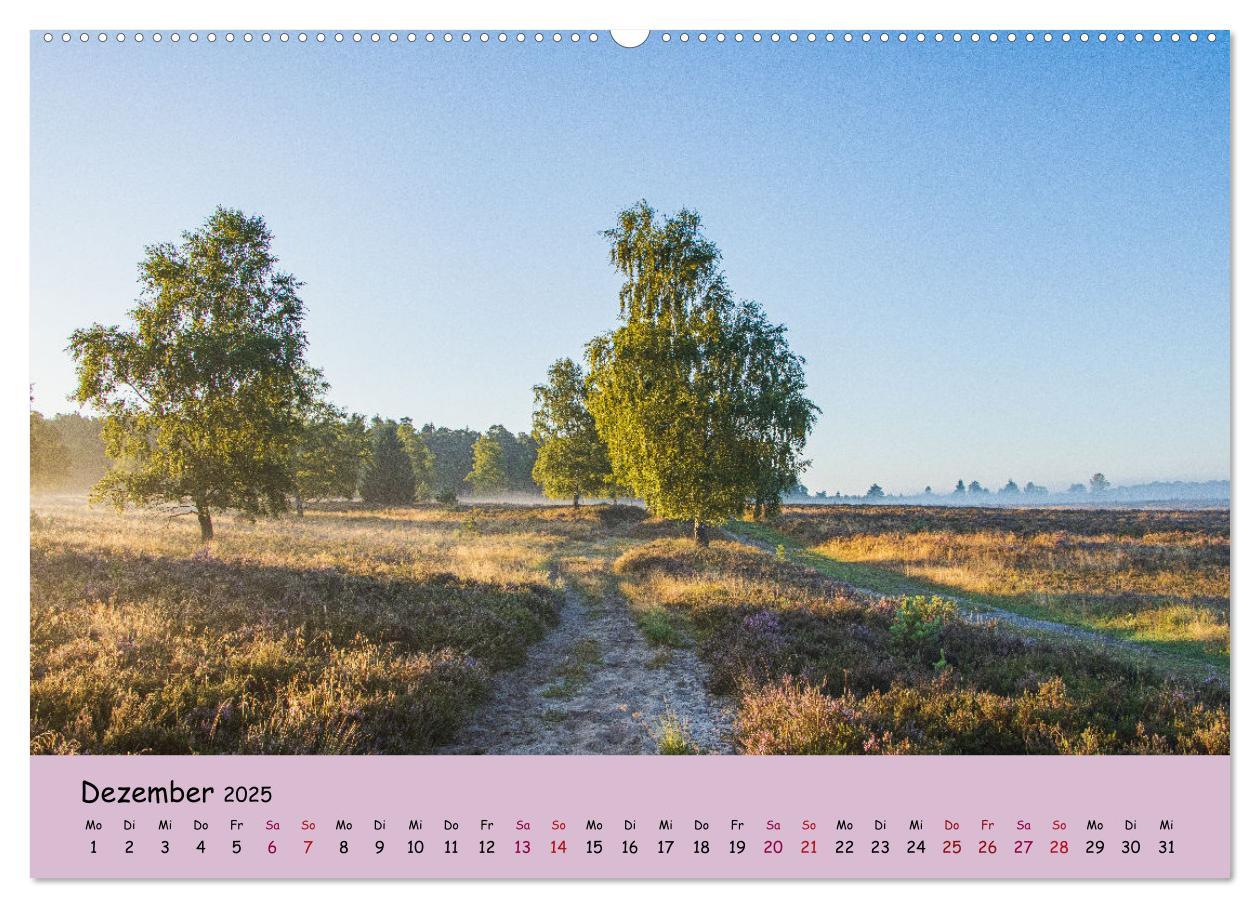 Bild: 9783435024810 | Lüneburger Heide Wege (hochwertiger Premium Wandkalender 2025 DIN...