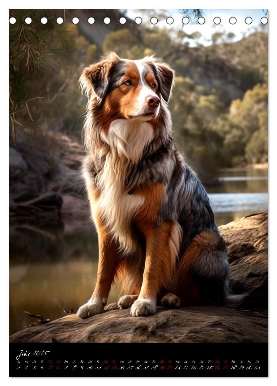 Bild: 9783435877249 | Australian Shepherd (Tischkalender 2025 DIN A5 hoch), CALVENDO...