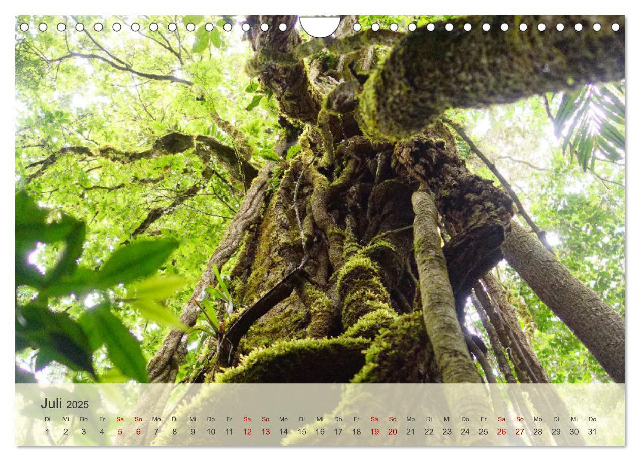 Bild: 9783383837029 | Bekanntes und Unbekanntes Costa Rica (Wandkalender 2025 DIN A4...