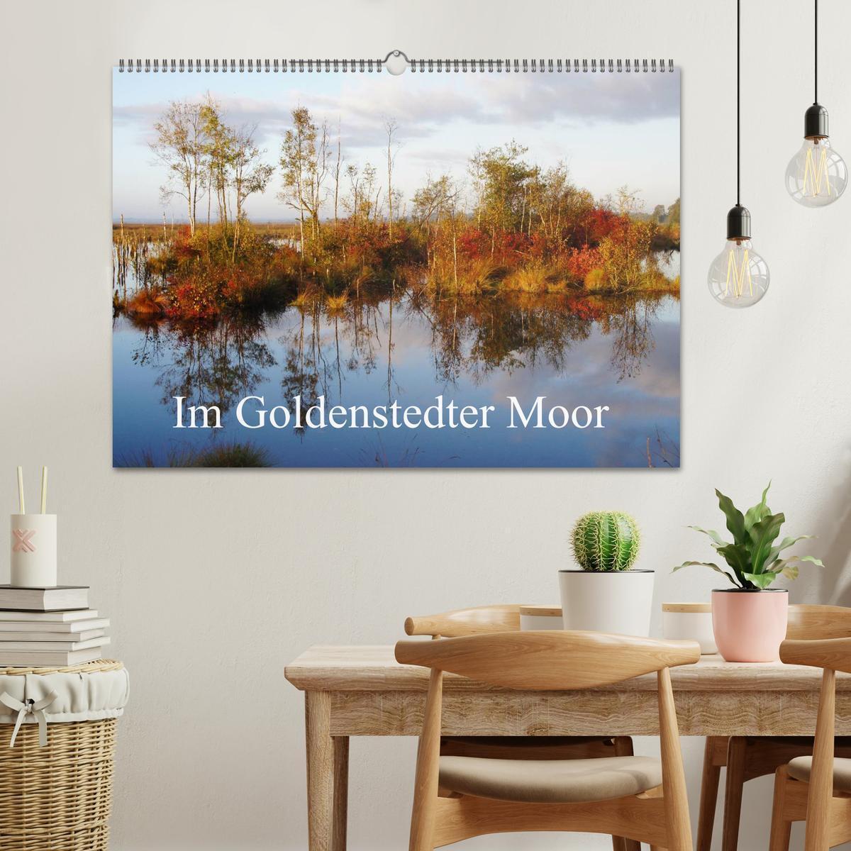 Bild: 9783435566846 | Im Goldenstedter Moor (Wandkalender 2025 DIN A2 quer), CALVENDO...