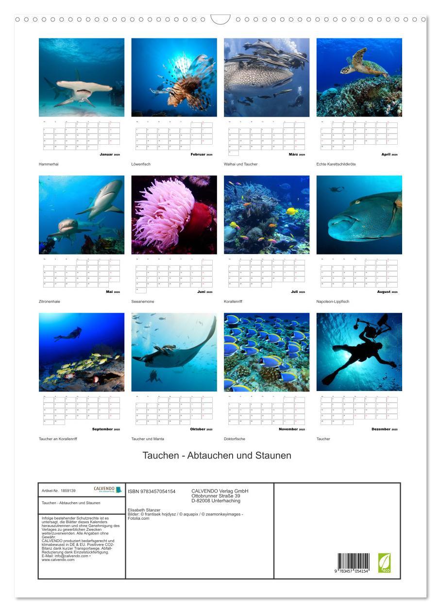 Bild: 9783457054154 | Tauchen - Abtauchen und Staunen (Wandkalender 2025 DIN A2 hoch),...