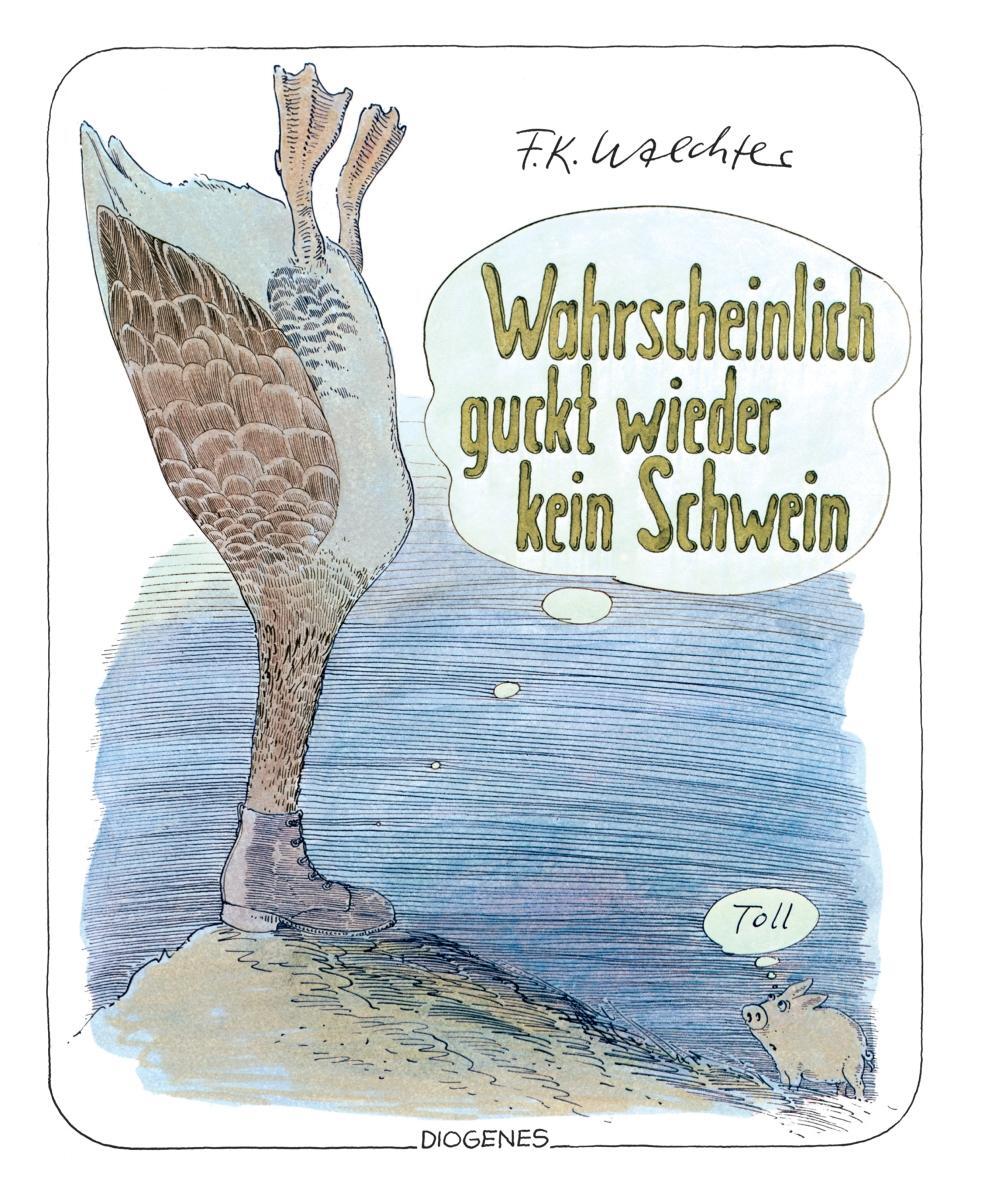 Cover: 9783257021189 | Wahrscheinlich guckt wieder kein Schwein | F. K. Waechter | Buch