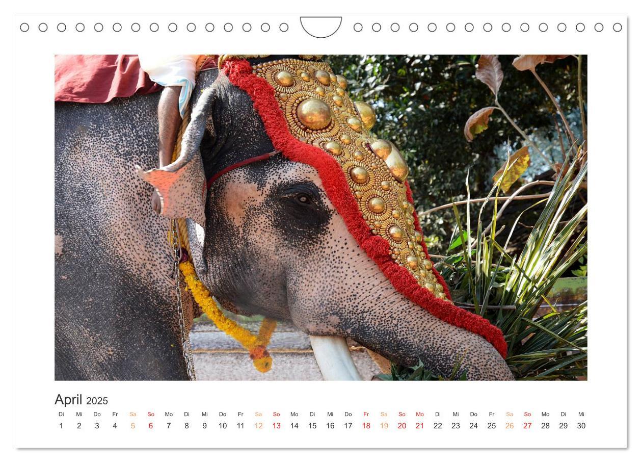 Bild: 9783435733903 | Kerala - Im Süden Indiens (Wandkalender 2025 DIN A4 quer), CALVENDO...