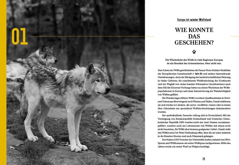 Bild: 9783711002587 | Er ist da | Der Wolf kehrt zurück | Klaus Hackländer | Buch | 224 S.