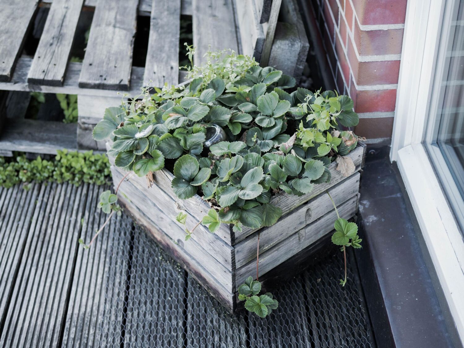 Bild: 9783735852373 | Rethink Garten. Bewusst pflanzen, umweltschonend düngen, naturnah...