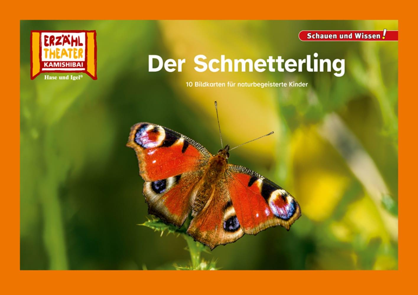 Cover: 4260505832889 | Der Schmetterling / Kamishibai Bildkarten | Taschenbuch | 12 S. | 2024