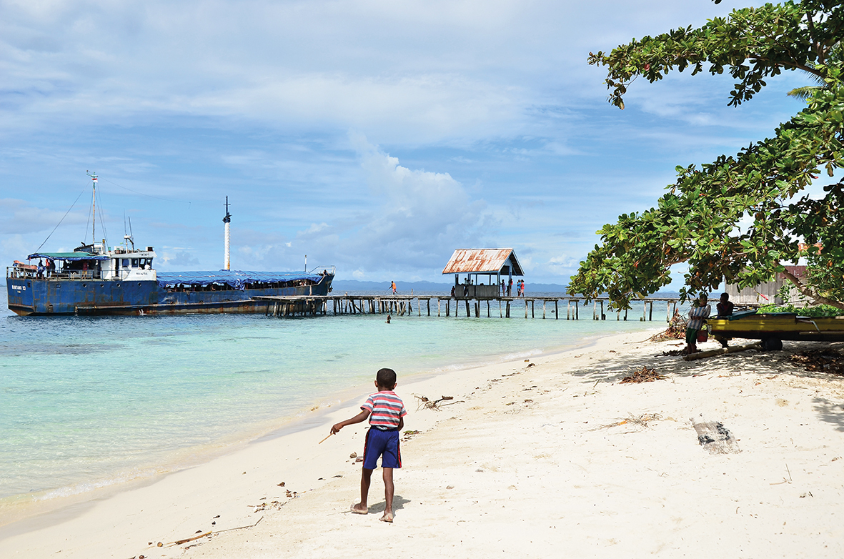 Bild: 9783772526985 | Neuseeland, Papua und Vanuatu | Johannes F. Brakel | Buch | 274 S.