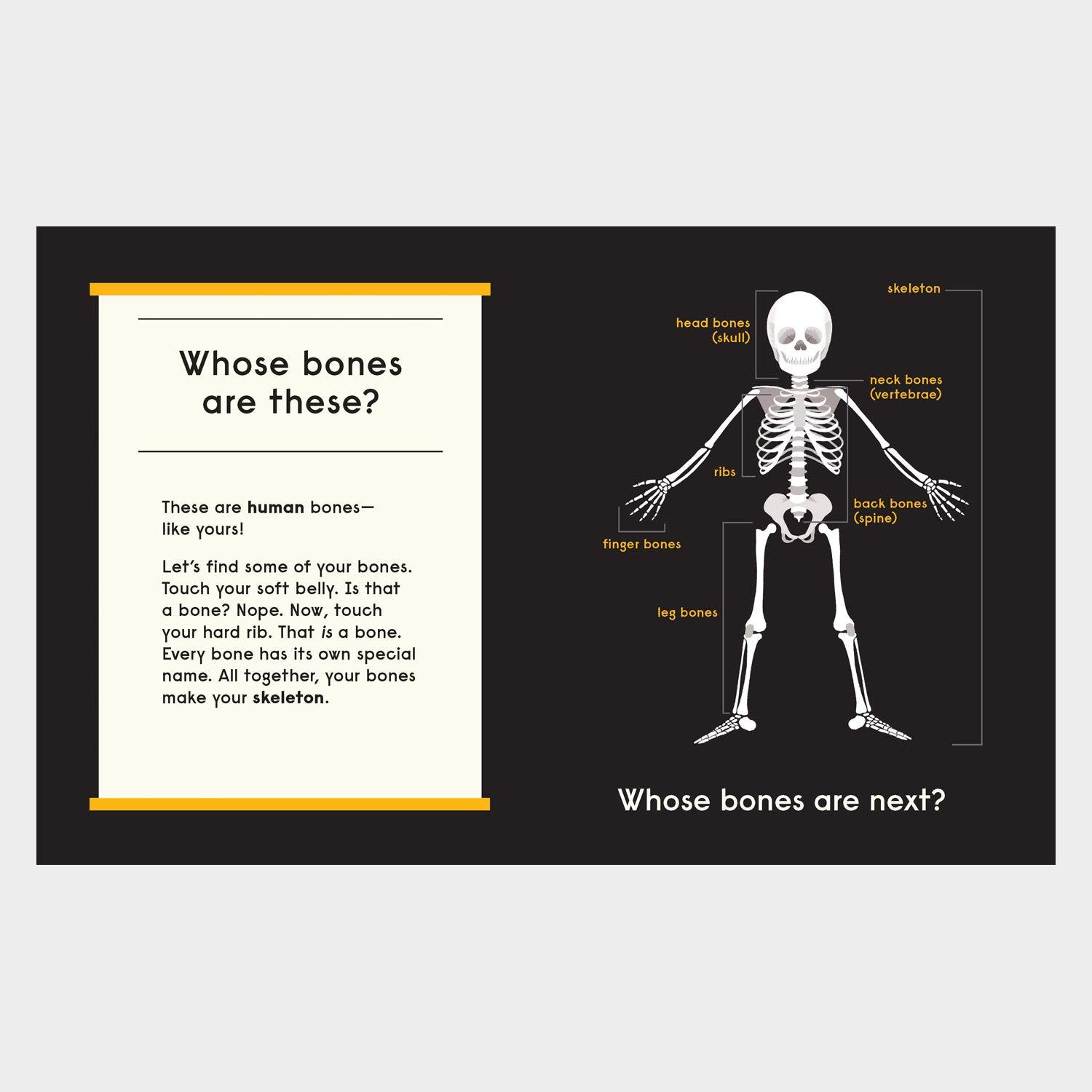 Bild: 9781838661519 | Whose Bones? | An Animal Guessing Game | Gabrielle Balkan | Buch