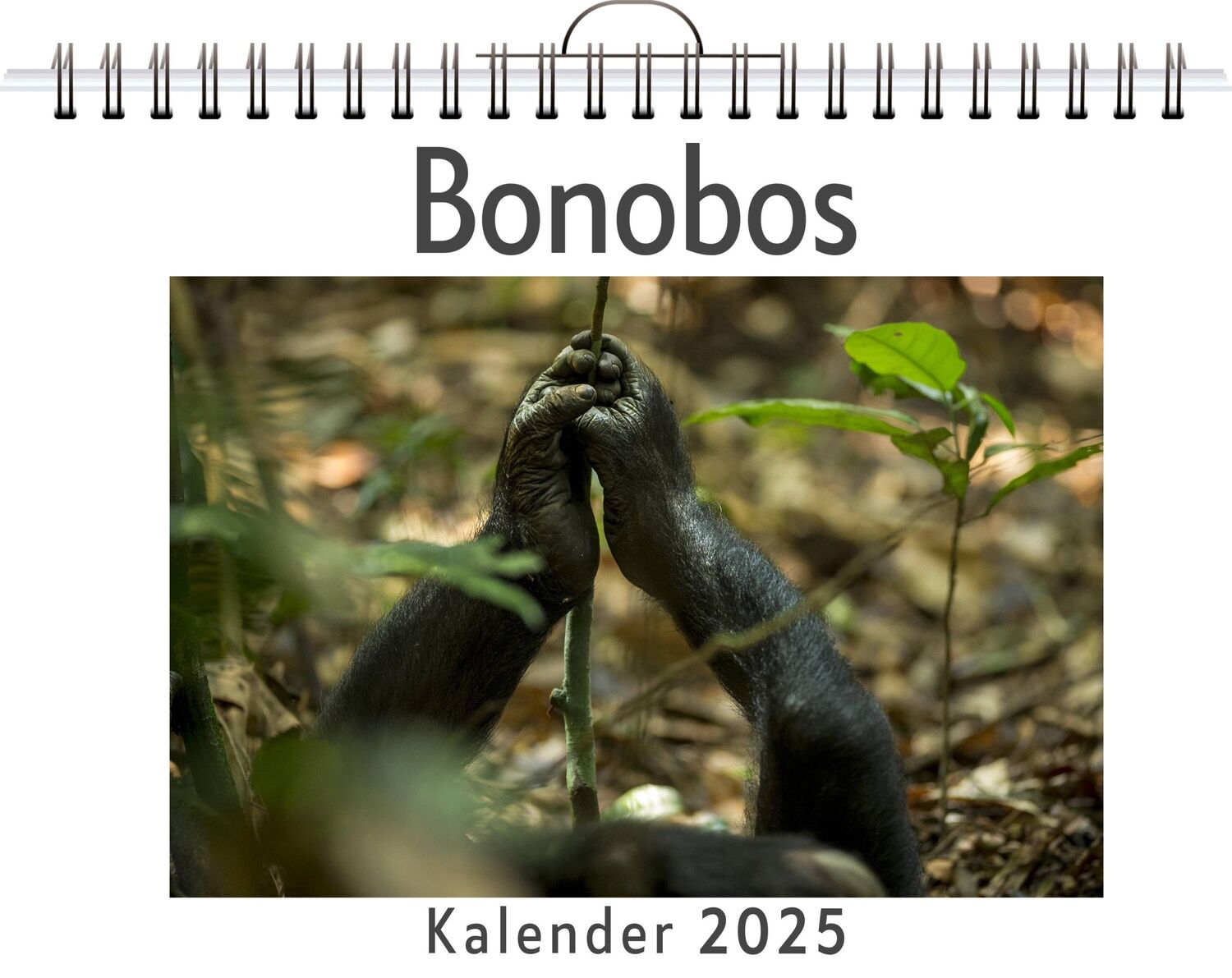 Cover: 9783759128256 | Bonobos | Tim Neumann | Kalender | Kalender | 14 S. | Deutsch