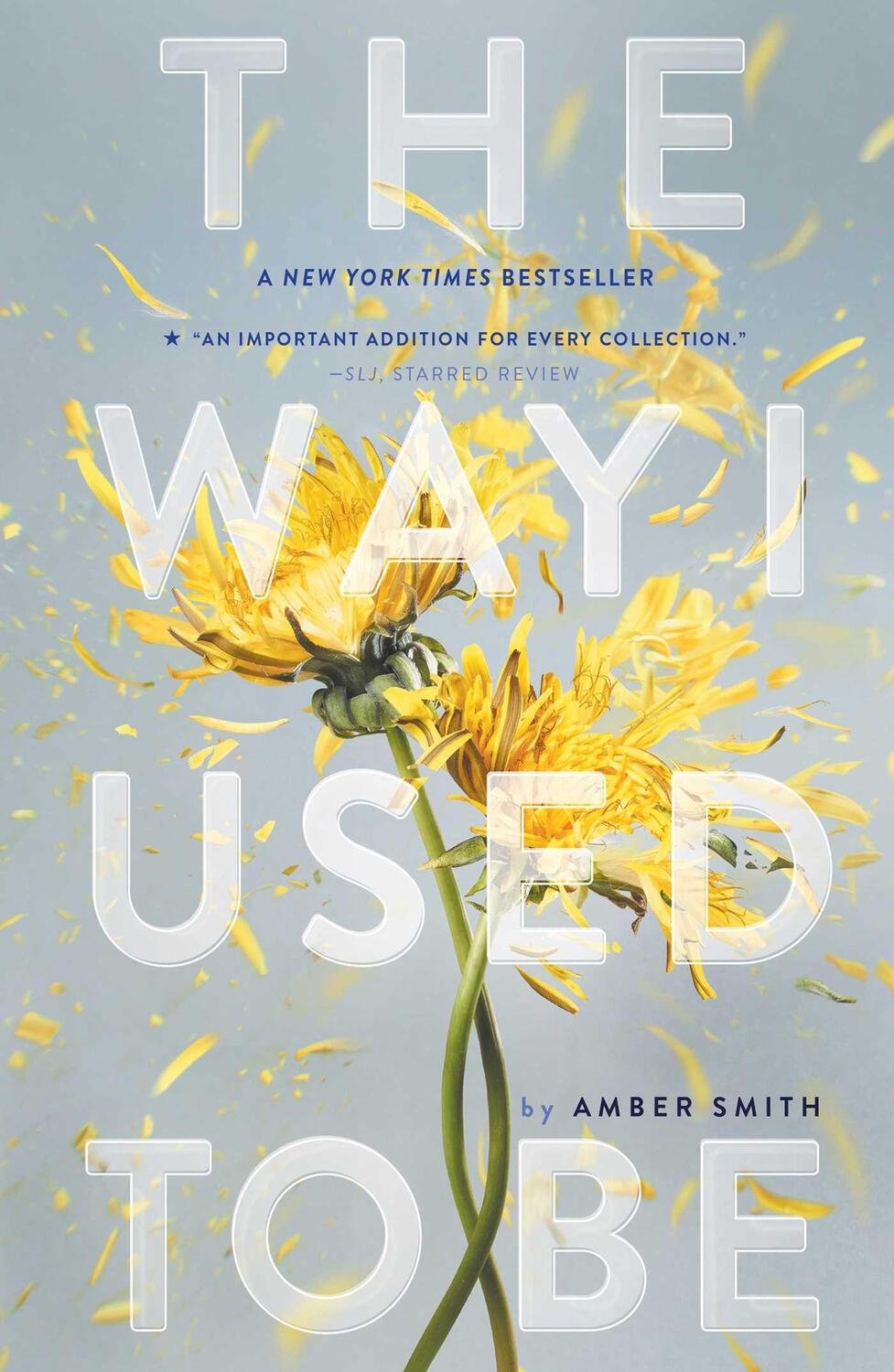 Bild: 9781481449366 | The Way I Used to Be | Amber Smith | Taschenbuch | Englisch | 2017