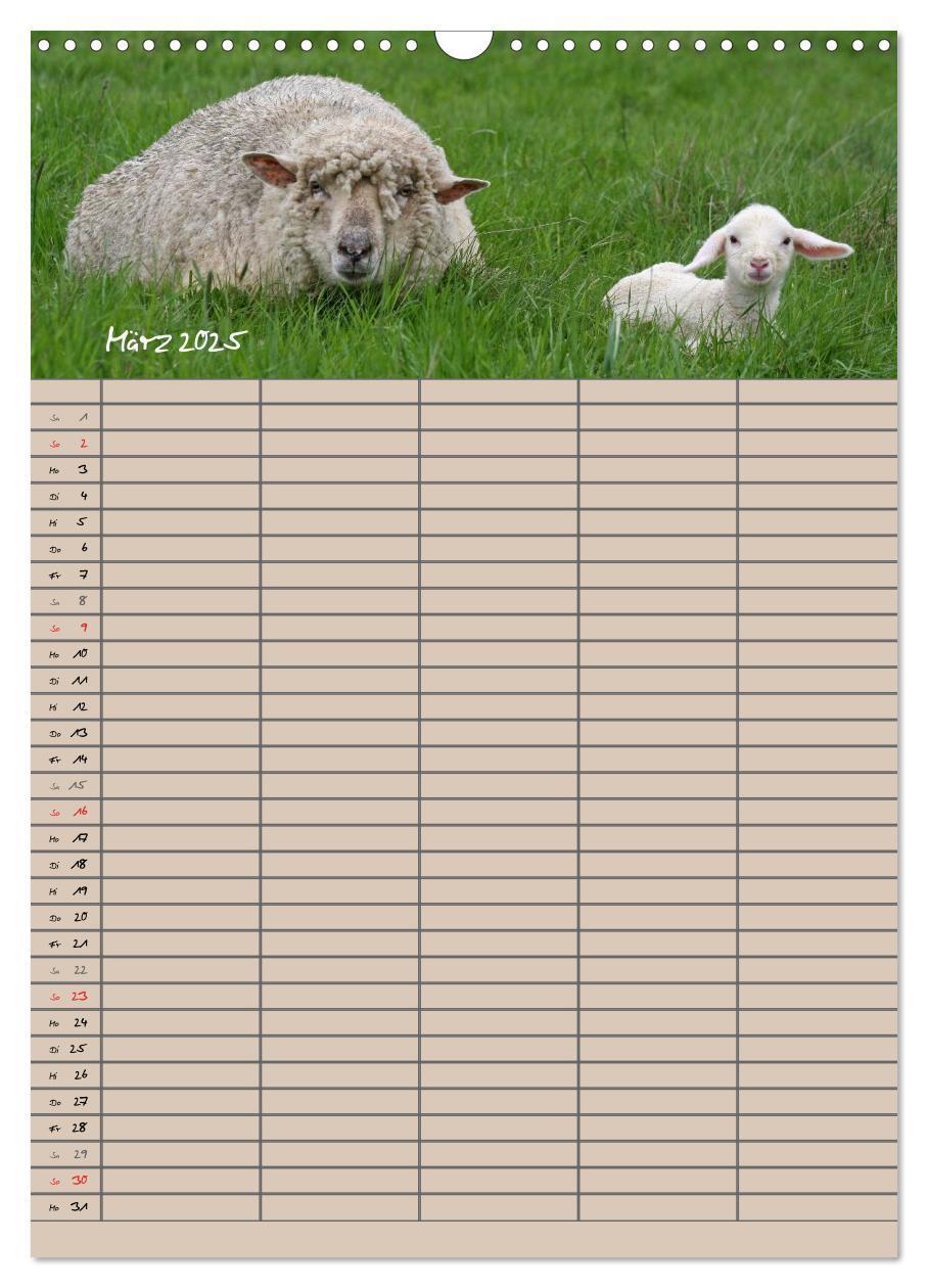 Bild: 9783457058329 | Der belämmerte Familienplaner (Wandkalender 2025 DIN A3 hoch),...