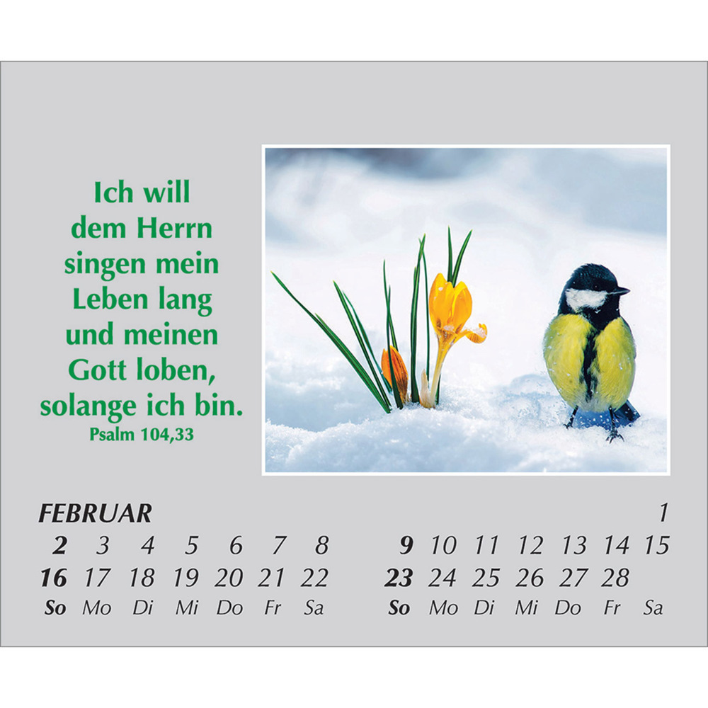 Bild: 9783754861059 | Freude für jeden Tag 2025 | Kalender | Spiralbindung. Spiralbindung