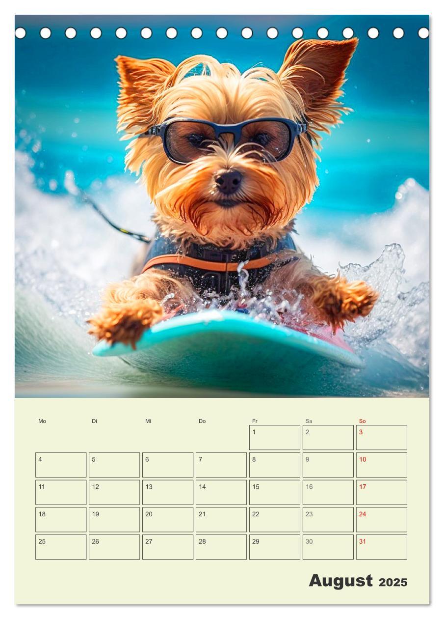 Bild: 9783435874705 | Yorkshire Terrier. Fröhliche Energiebündel in Aktion (Tischkalender...