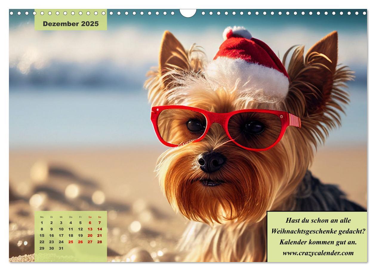 Bild: 9783383920219 | Der humoristische Yorkshire Terrier Kalender (Wandkalender 2025 DIN...