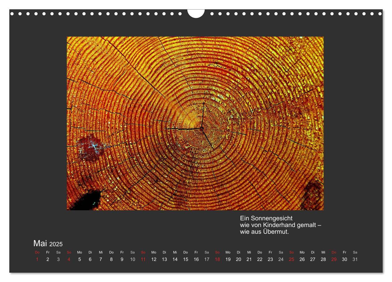 Bild: 9783435801503 | MAGIE HOLZ 2025 (Wandkalender 2025 DIN A3 quer), CALVENDO...