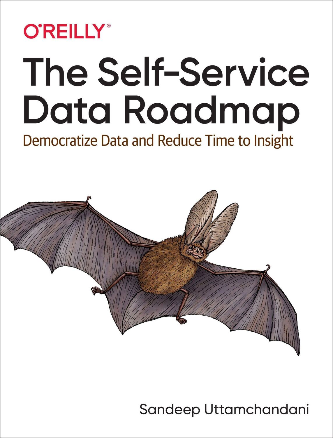 Cover: 9781492075257 | The Self-Service Data Roadmap | Sandeep Uttamchandani | Taschenbuch