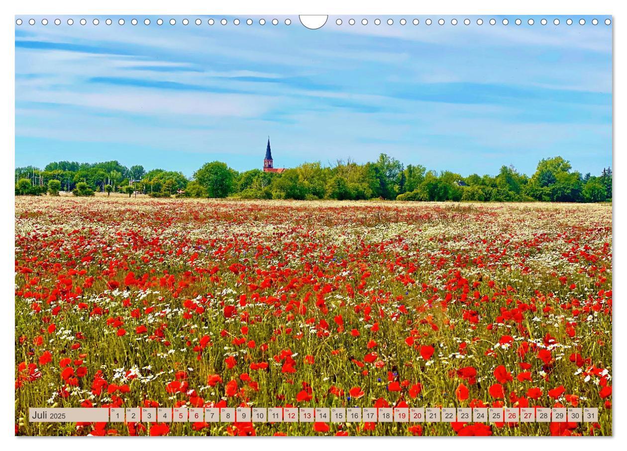 Bild: 9783383955877 | Fischland zwischen Ostsee und Bodden (Wandkalender 2025 DIN A3...