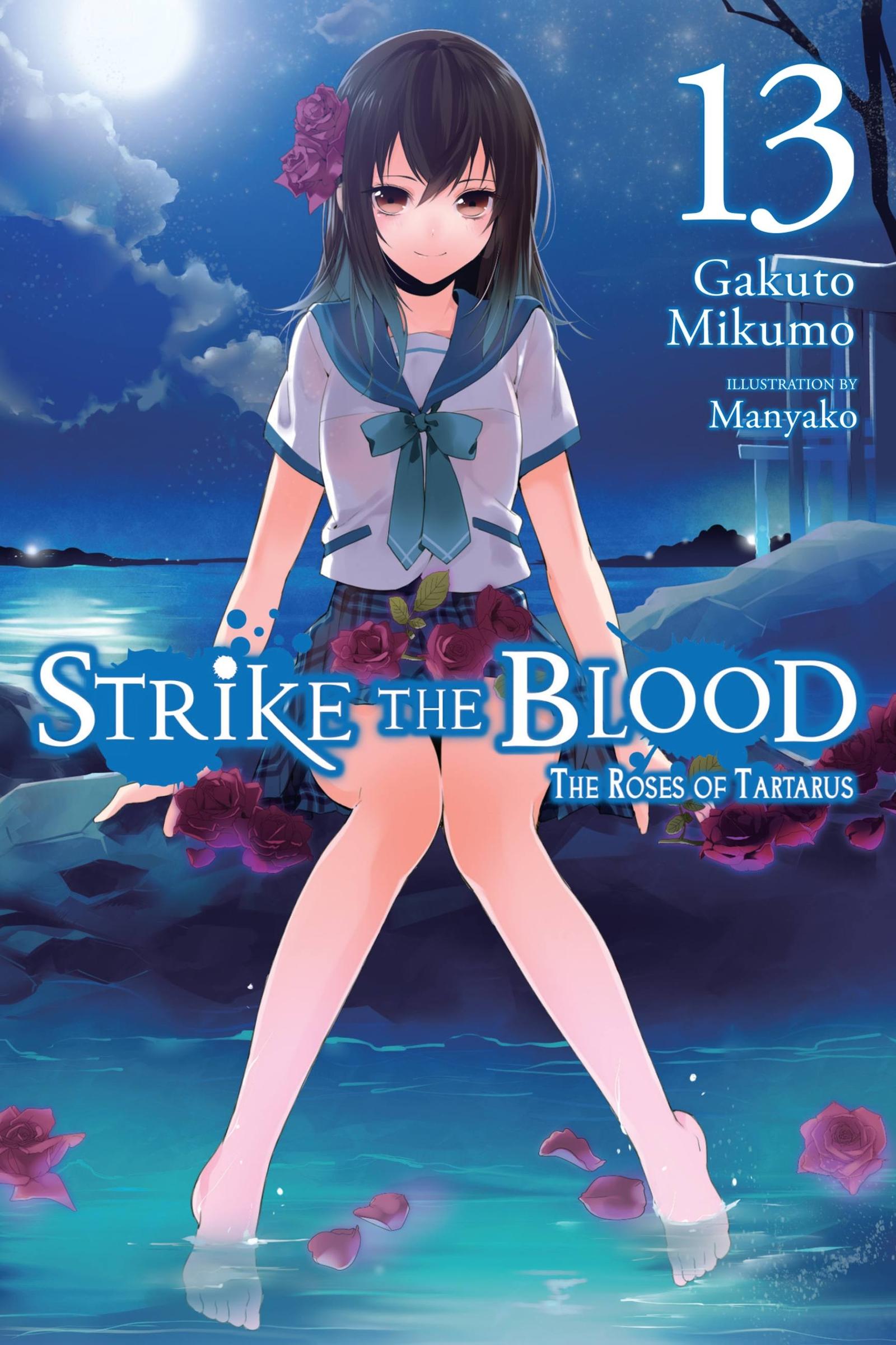 Cover: 9781975384838 | Strike the Blood, Vol. 13 (light novel) | Mikumo | Taschenbuch | 2019