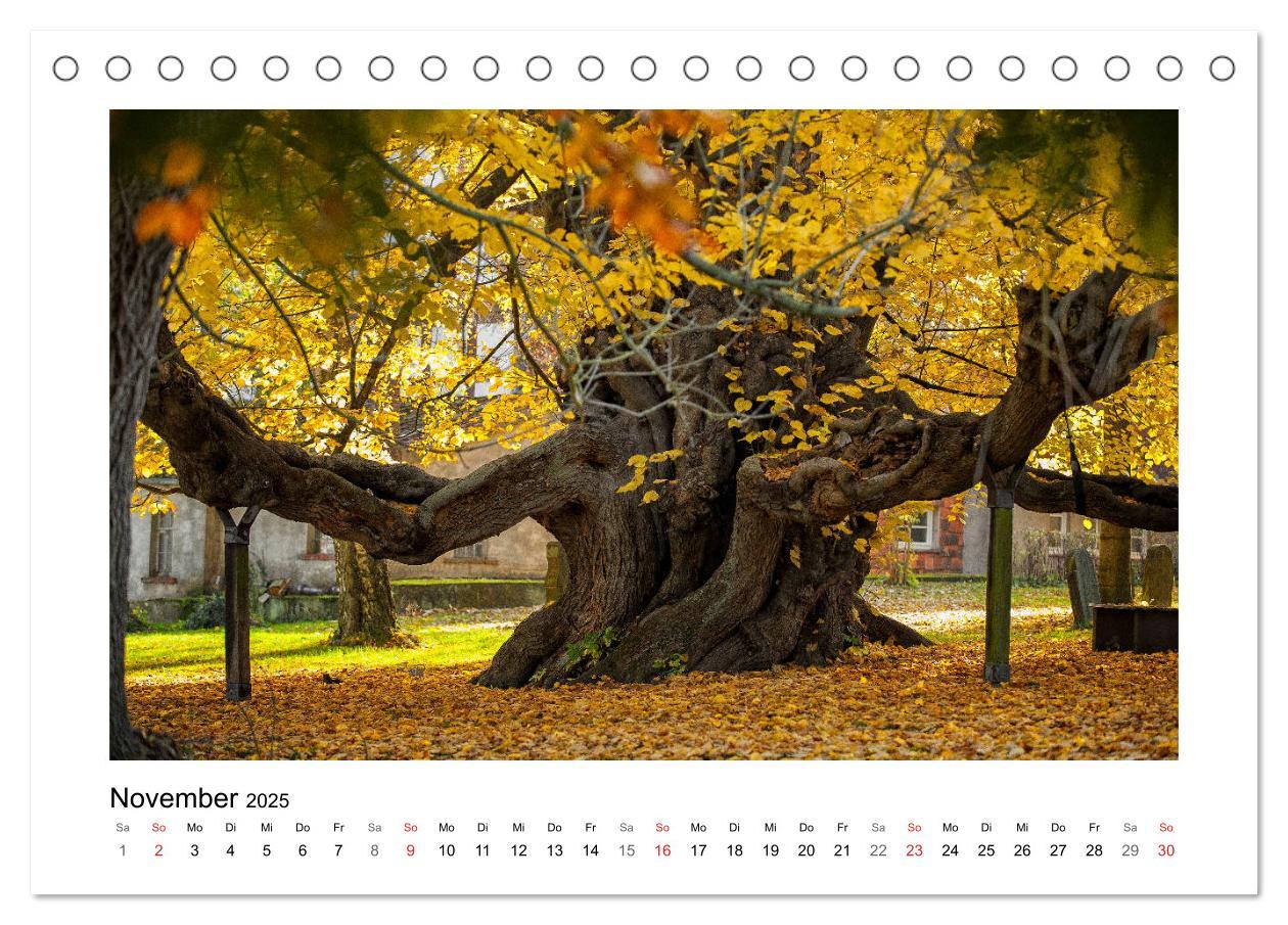 Bild: 9783435154623 | Impressionen aus Ostwestfalen-Lippe (Tischkalender 2025 DIN A5...