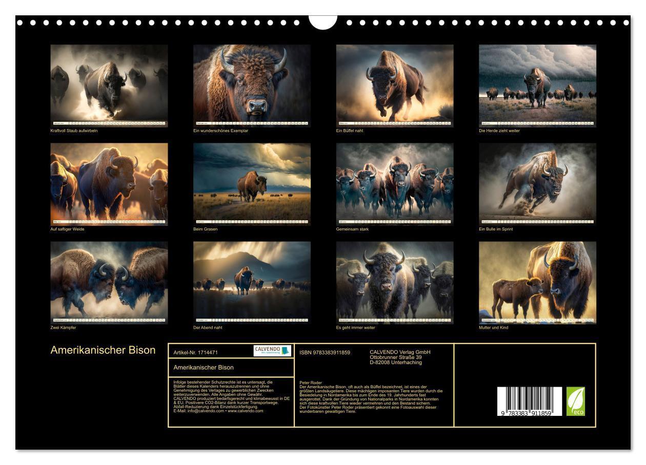 Bild: 9783383911859 | Amerikanischer Bison (Wandkalender 2025 DIN A3 quer), CALVENDO...