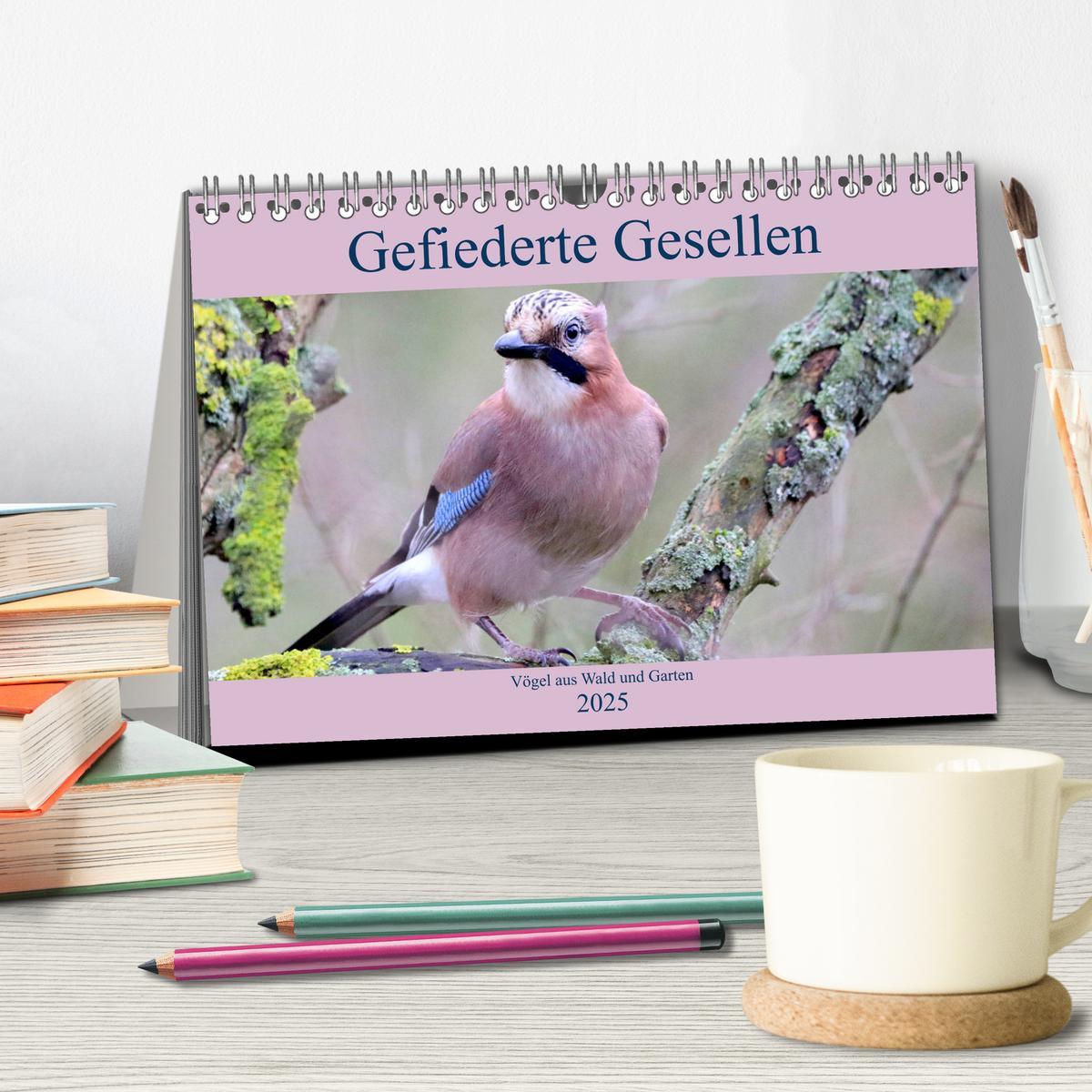 Bild: 9783435147212 | Gefiederte Gesellen - Vögel aus Wald und Garten (Tischkalender 2025...