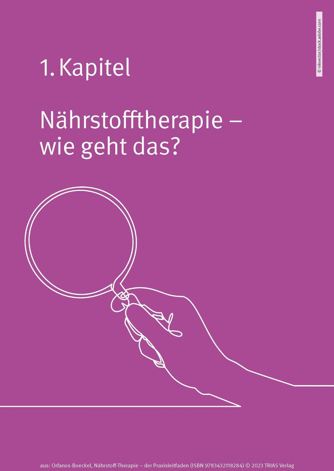 Bild: 9783432118284 | Nährstoff-Therapie - Der Praxisleitfaden | Helena Orfanos-Boeckel