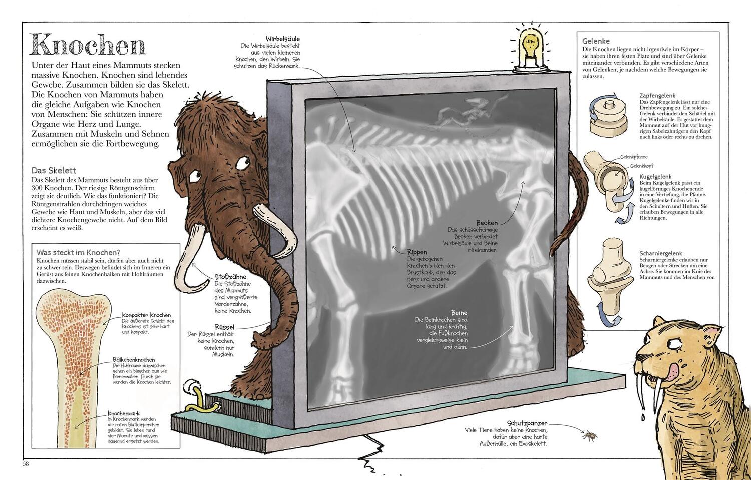 Bild: 9783831041206 | Das Mammut-Buch Naturwissenschaften | David Macaulay | Buch | 160 S.