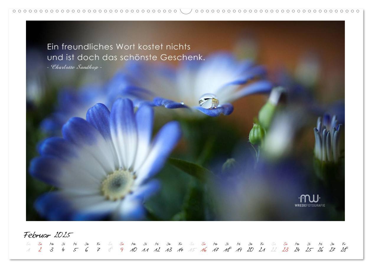 Bild: 9783435657629 | Gedanken... Bildkalender mit Sprüchen (Wandkalender 2025 DIN A2...