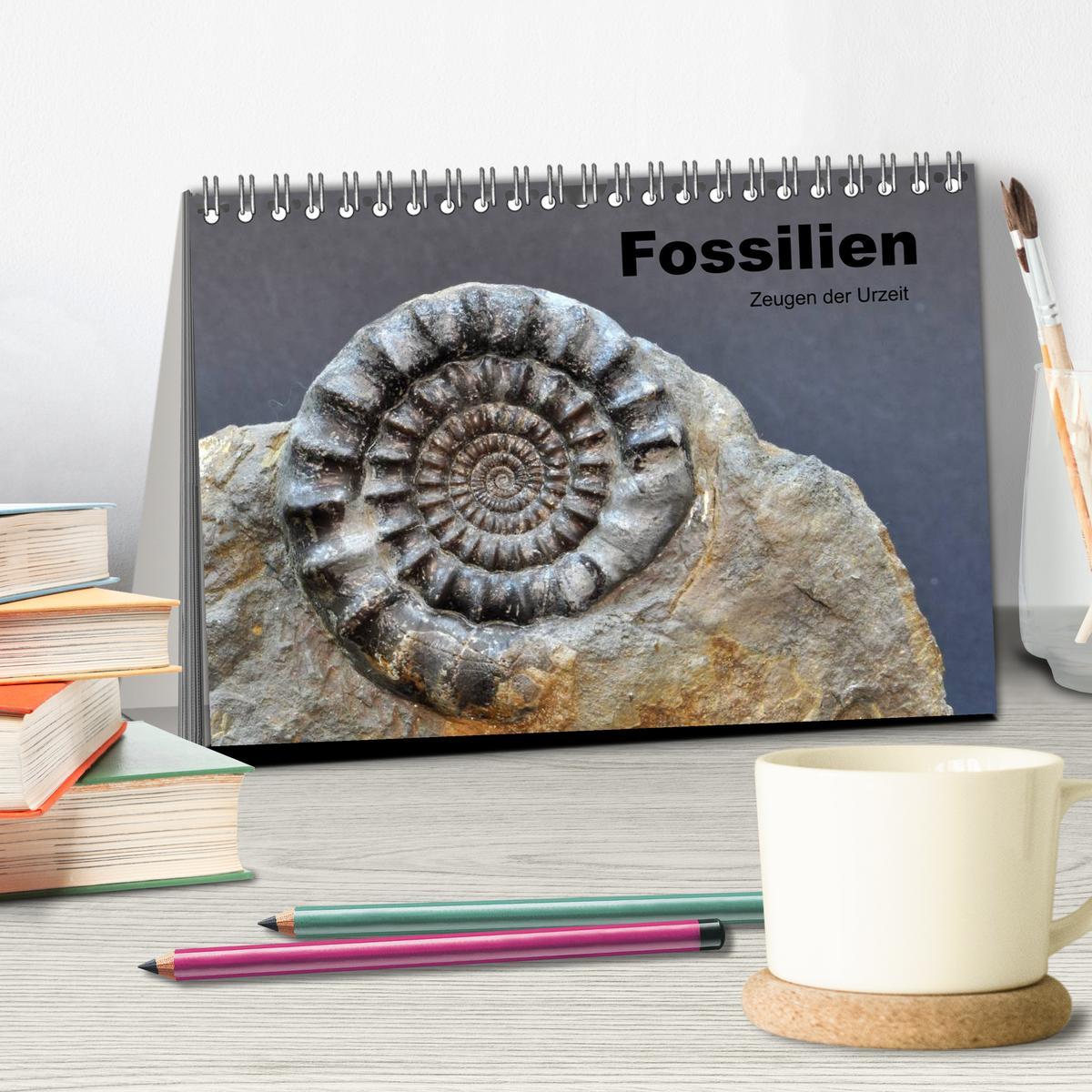 Bild: 9783435770205 | Fossilien - Zeugen der Urzeit (Tischkalender 2025 DIN A5 quer),...