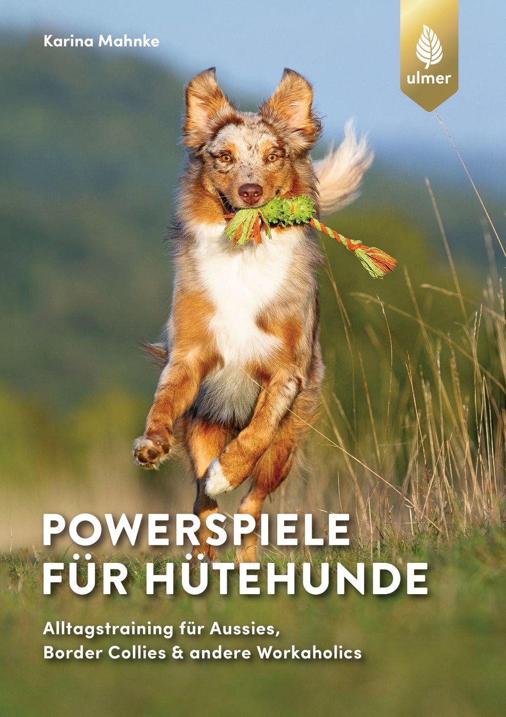 Cover: 9783818615109 | Powerspiele für Hütehunde | Karina Mahnke | Taschenbuch | 128 S.