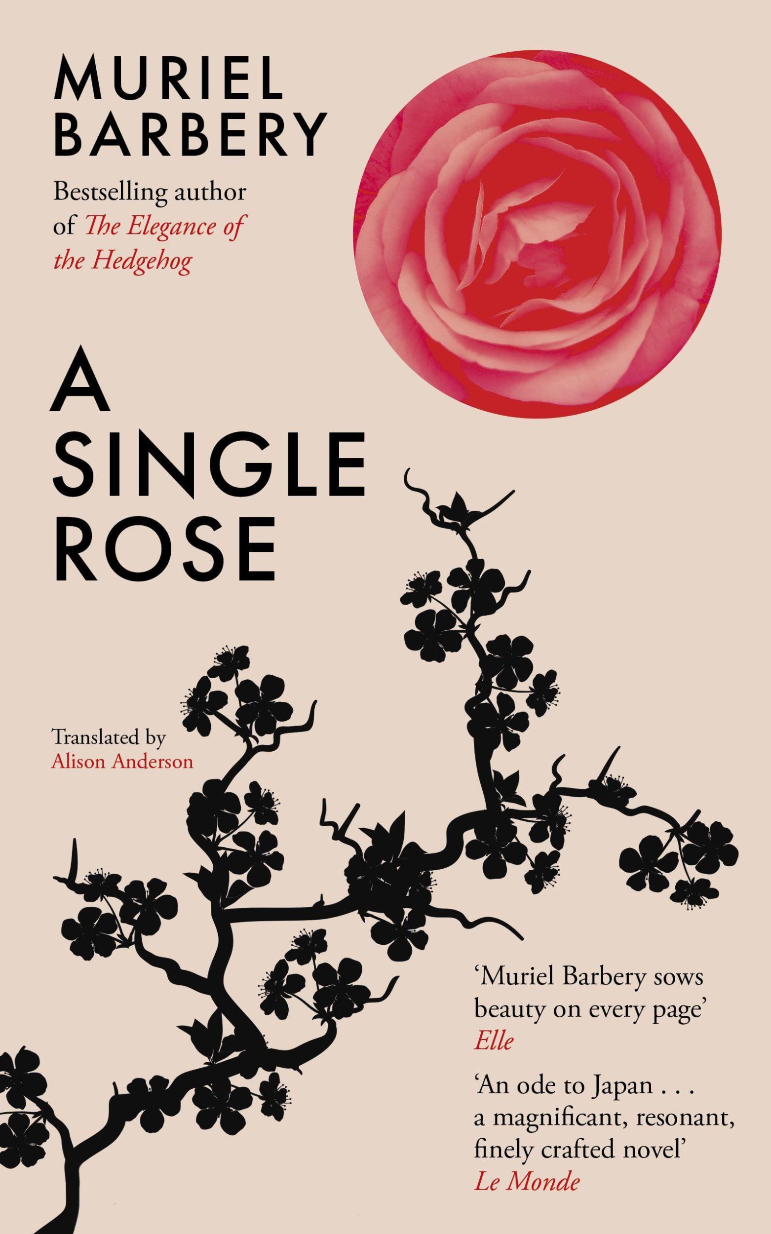 Cover: 9781913547110 | A Single Rose | Muriel Barbery | Taschenbuch | Englisch | 2021