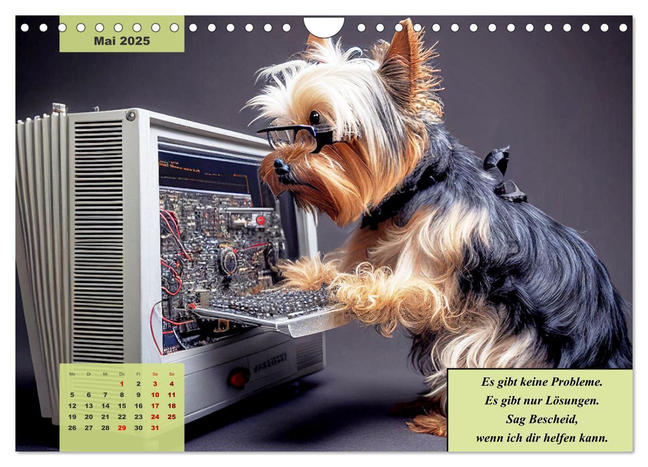 Bild: 9783383920523 | Der humoristische Yorkshire Terrier Kalender (Wandkalender 2025 DIN...