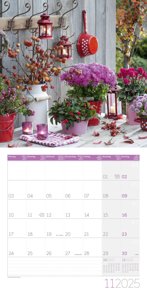 Bild: 9783838445007 | Blumenzauber Kalender 2025 - 30x30 | Ackermann Kunstverlag | Kalender