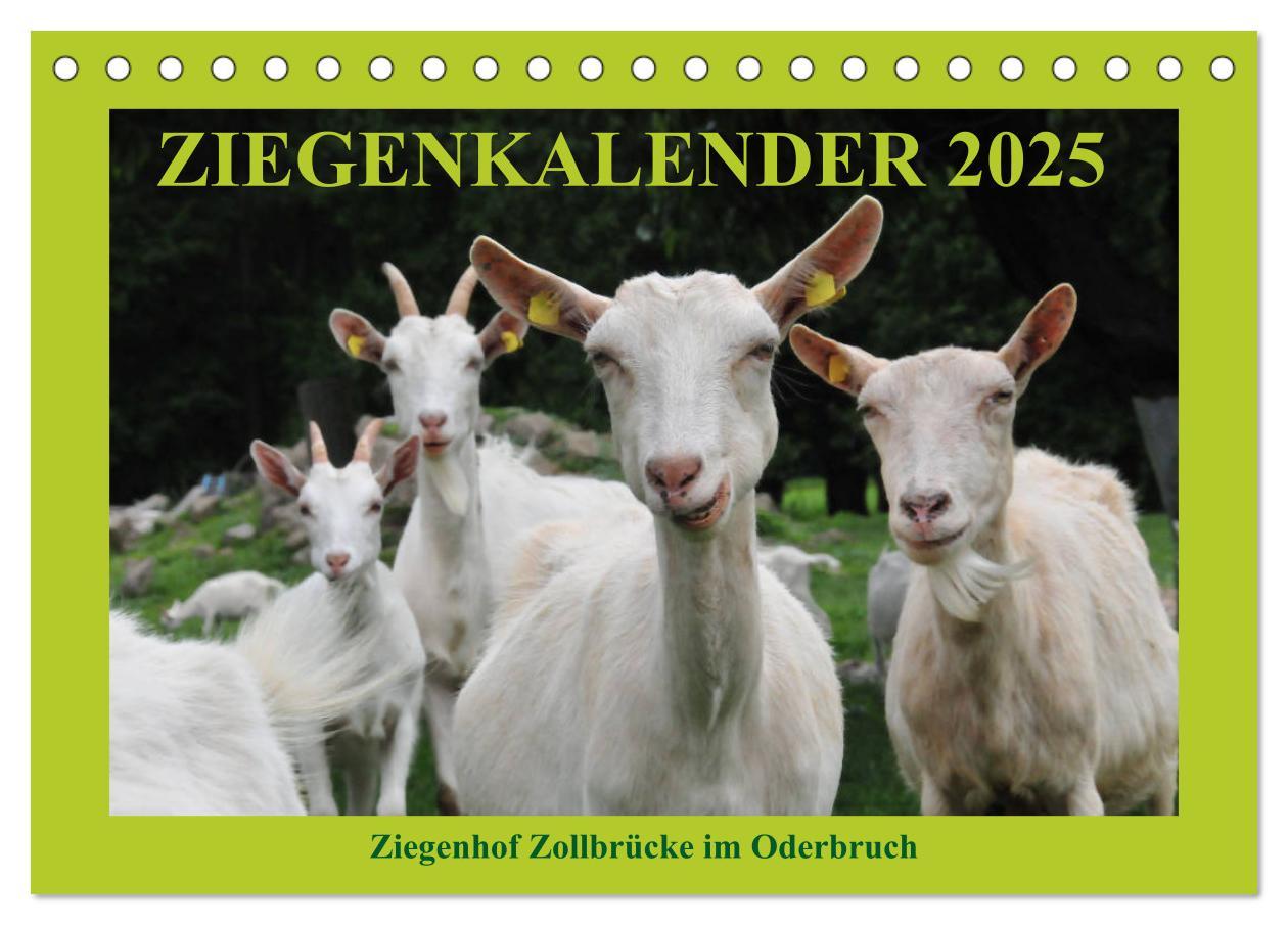 Cover: 9783435339105 | Ziegenkalender 2025 (Tischkalender 2025 DIN A5 quer), CALVENDO...