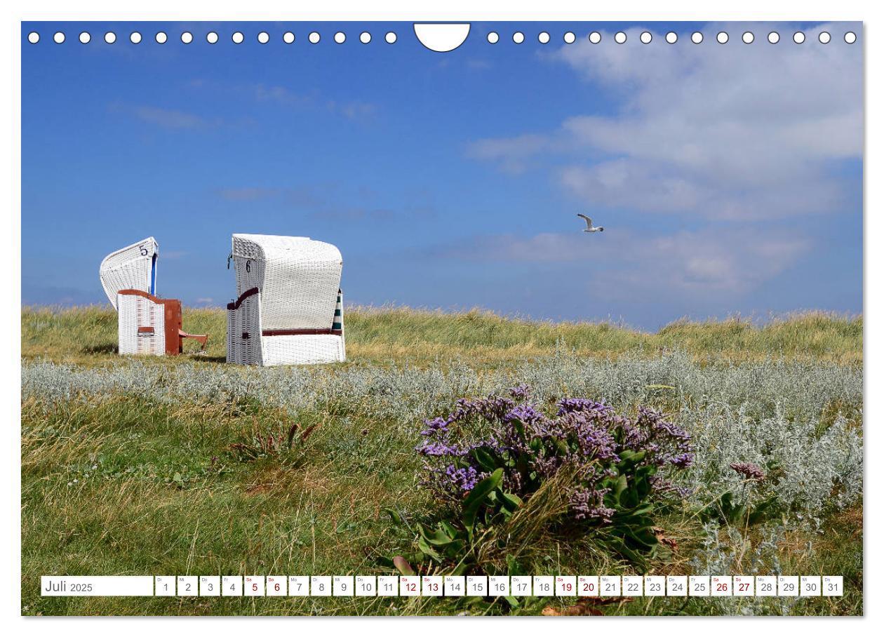 Bild: 9783435257249 | Sommertage auf Hallig Hooge (Wandkalender 2025 DIN A4 quer),...