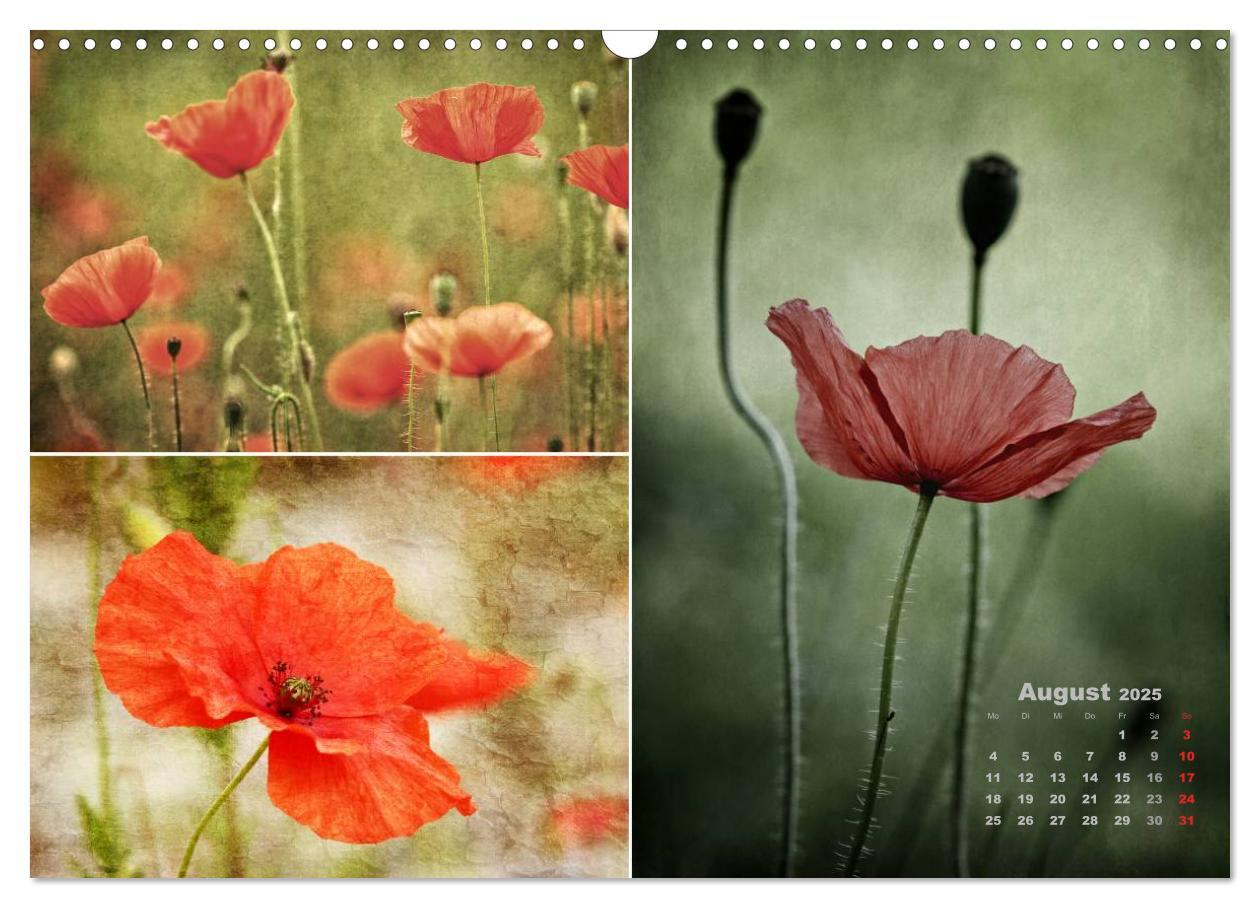 Bild: 9783435612109 | Blumenreise 2025 (Wandkalender 2025 DIN A3 quer), CALVENDO...