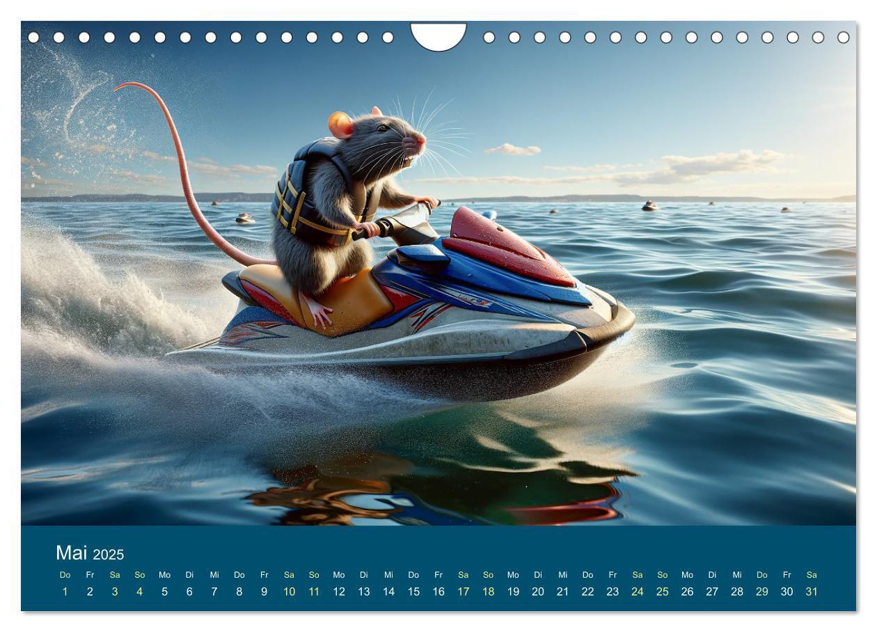 Bild: 9783383768606 | Abenteuerliche Ratten (Wandkalender 2025 DIN A4 quer), CALVENDO...