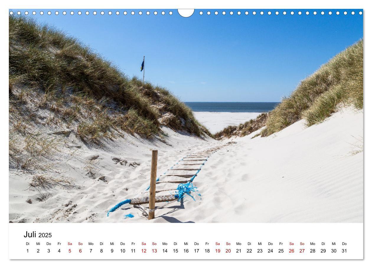 Bild: 9783383895906 | Amrum - Das Paradies in der Nordsee (Wandkalender 2025 DIN A3...