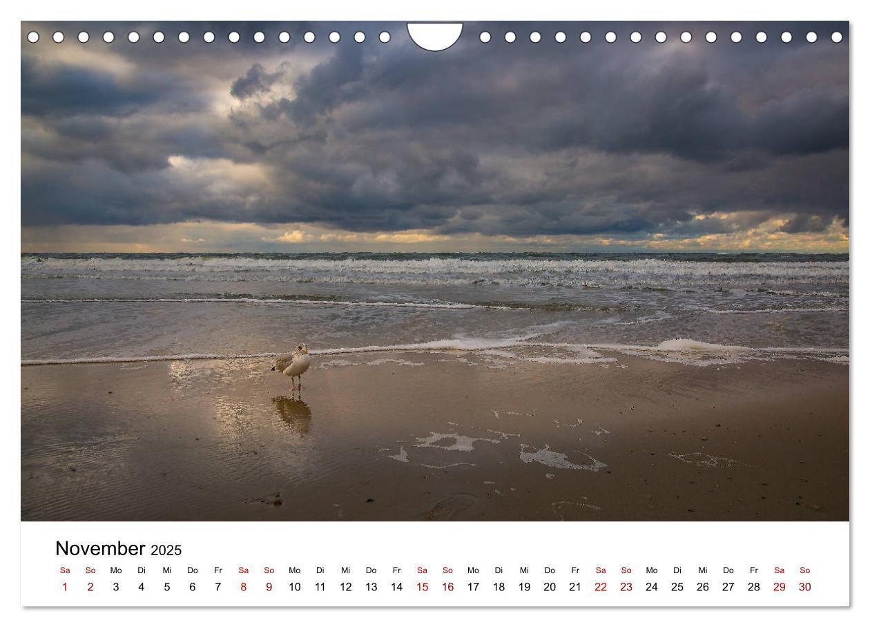 Bild: 9783435404384 | Langeoog ¿ Ein Herbst auf der Insel des Lebens (Wandkalender 2025...