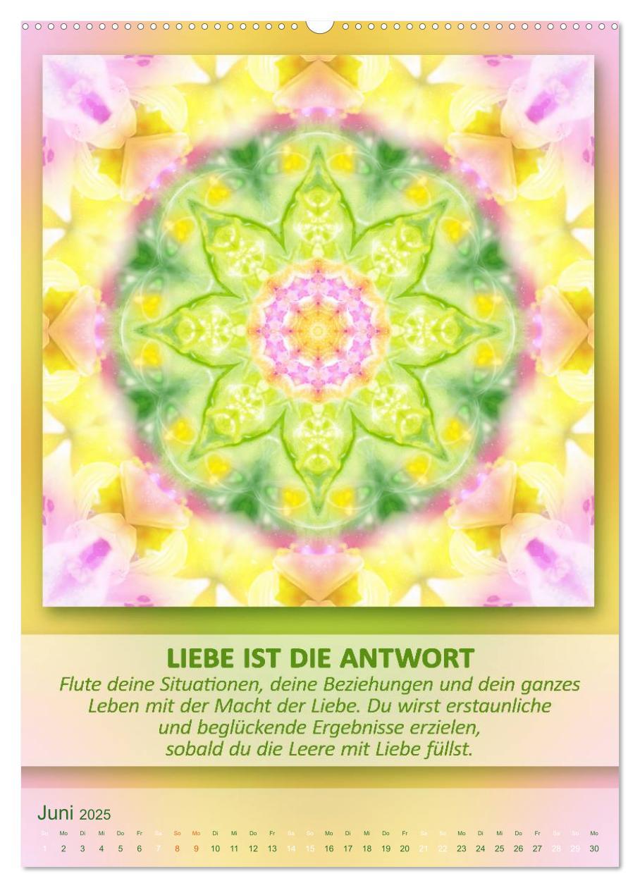 Bild: 9783457060193 | Light Energy Mandalas - Kalender - Vol. 2 (Wandkalender 2025 DIN A2...